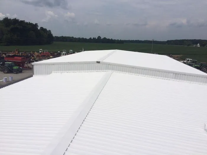 Future Roofing Systems Picture 6