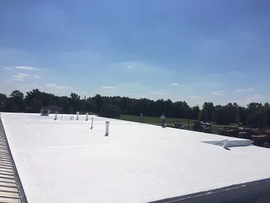 Future Roofing Systems Picture 3