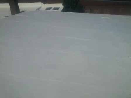 Future Roofing Systems Picture 4