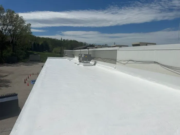 Cool Tech Roofing Picture 1