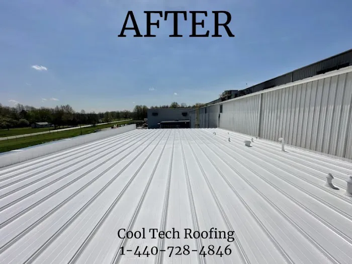 Cool Tech Roofing Picture 2