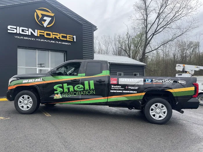 Shell Restoration Picture 3