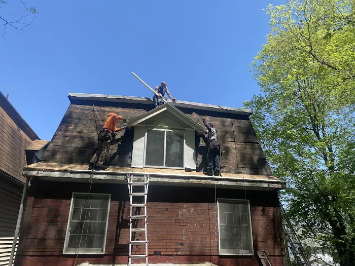 Shell Restoration Picture 8