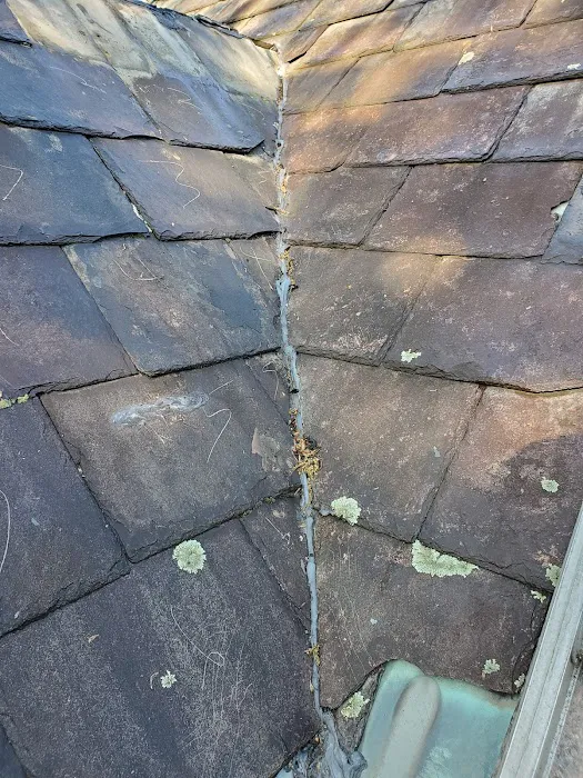 Young Slate Roofing Picture 3