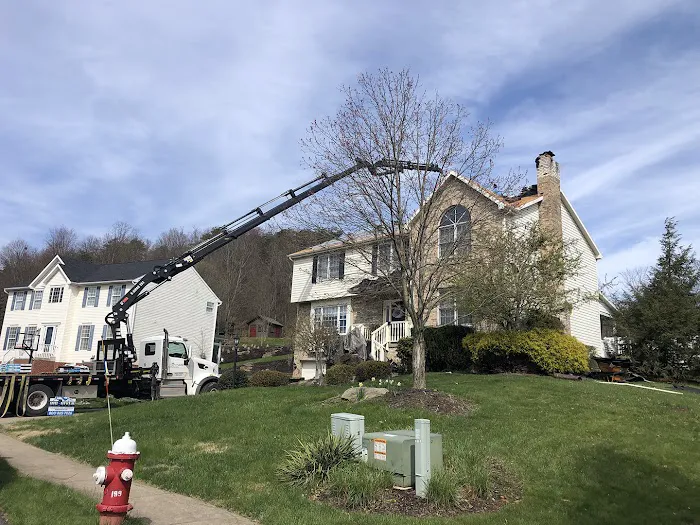 Big River Roofing - Asphalt Shingle, Metal and Flat Roofing Picture 2