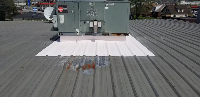 Alpha Roof Restoration and Consulting Picture 2