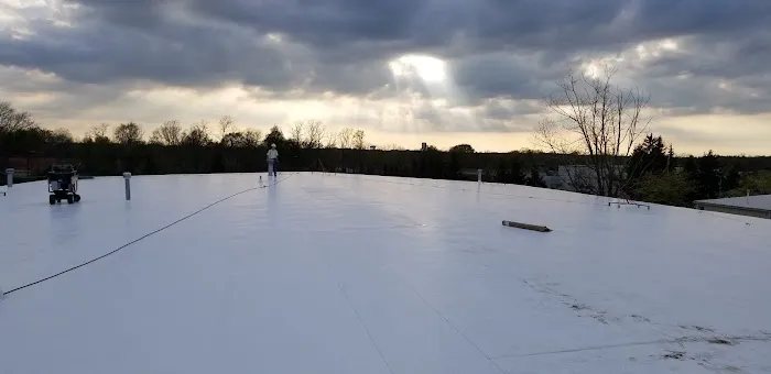 Alpha Roof Restoration and Consulting Picture 8