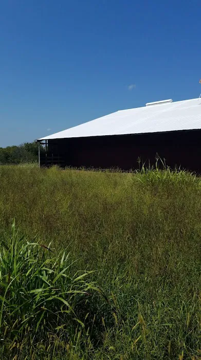 Alpha Roof Restoration and Consulting Picture 7