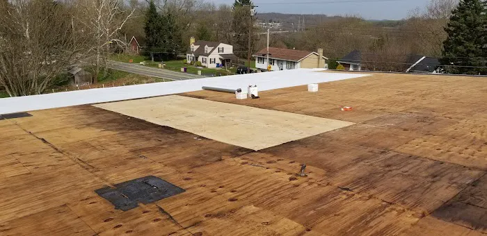 Alpha Roof Restoration and Consulting Picture 6