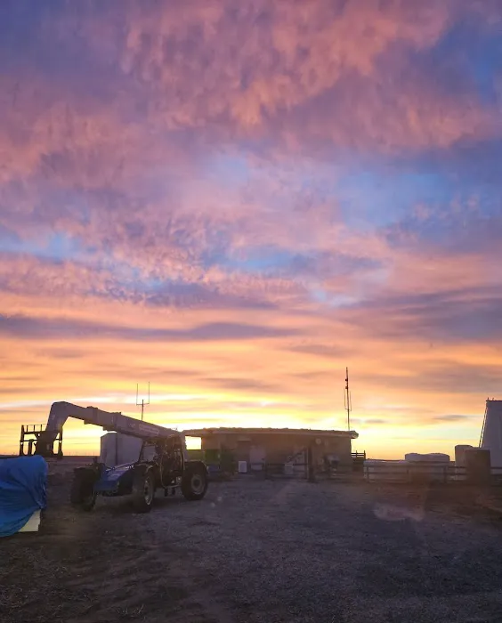 Sheckler Contracting Picture 3