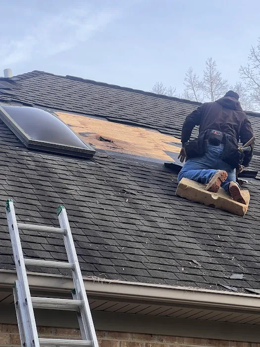 Mighty Dog Roofing Picture 2