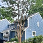 Cordell Exteriors Inc