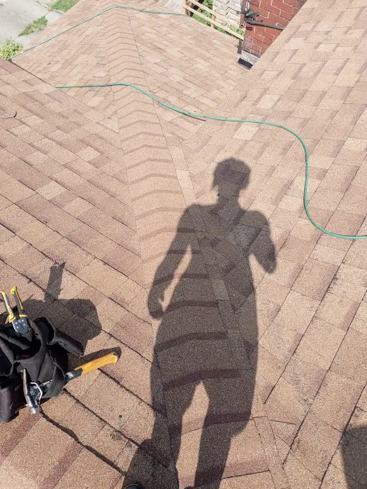 Bird and bean construction LLC Picture 5