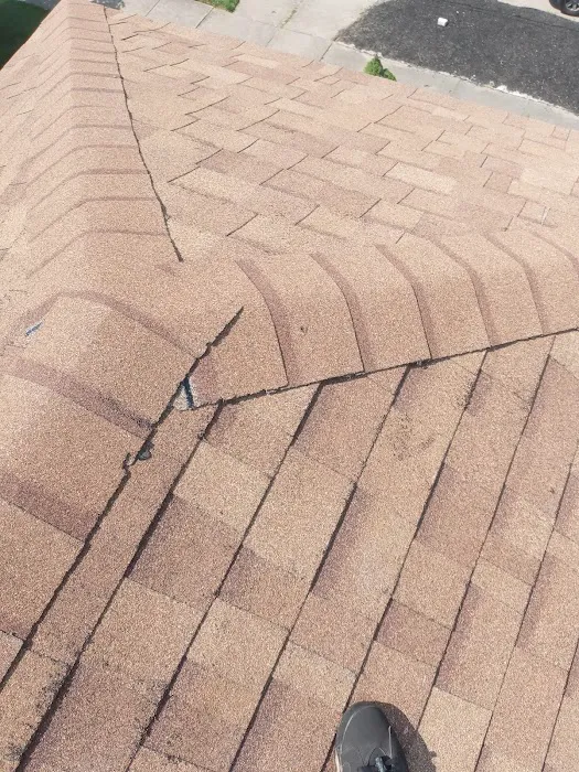 Bird and bean construction LLC Picture 7