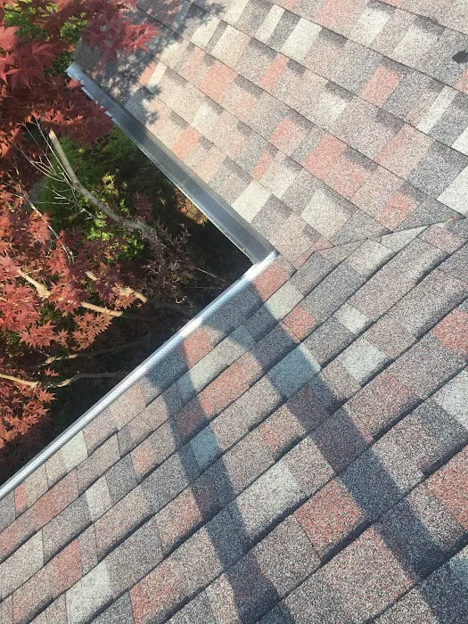 Bird and bean construction LLC Picture 4