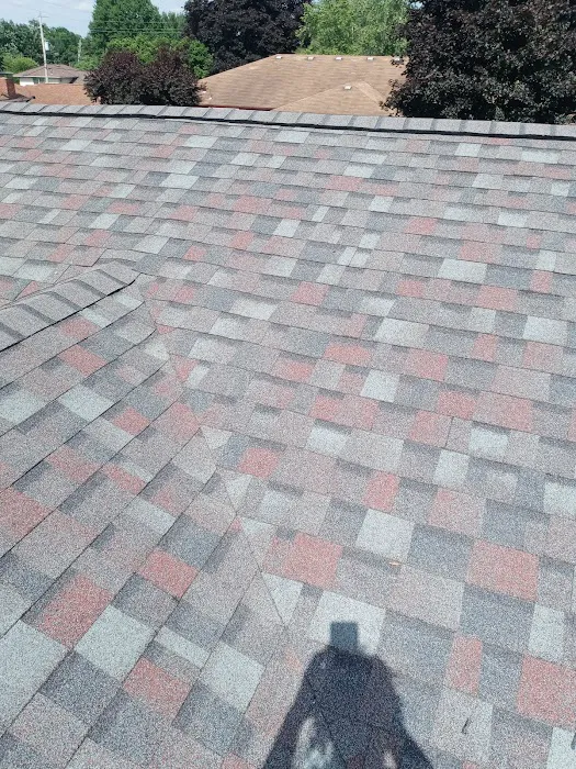 Bird and bean construction LLC Picture 1