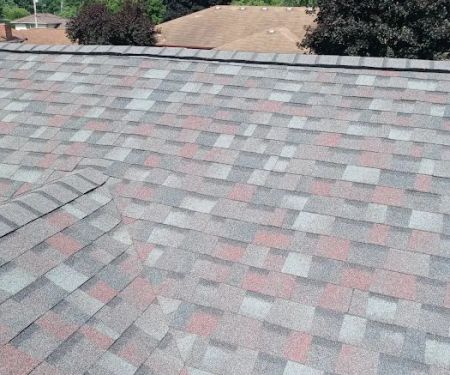 Bird and bean construction LLC