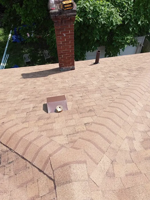 Bird and bean construction LLC Picture 2