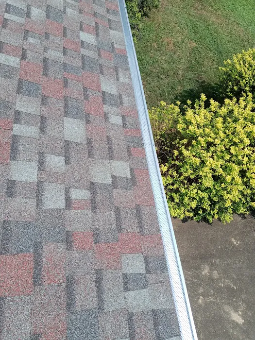 Bird and bean construction LLC Picture 3