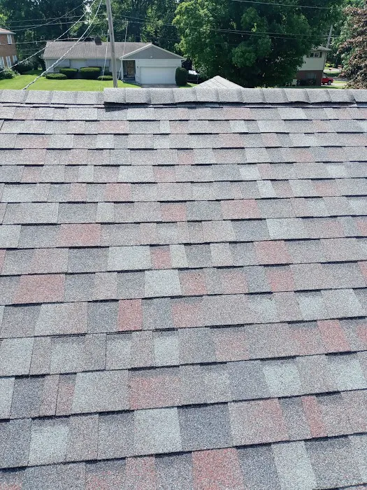 Bird and bean construction LLC Picture 9