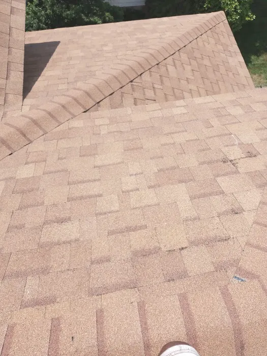 Bird and bean construction LLC Picture 8