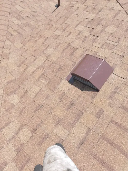 Bird and bean construction LLC Picture 10