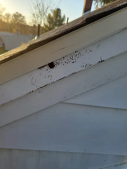 Sky Roofing Picture 2