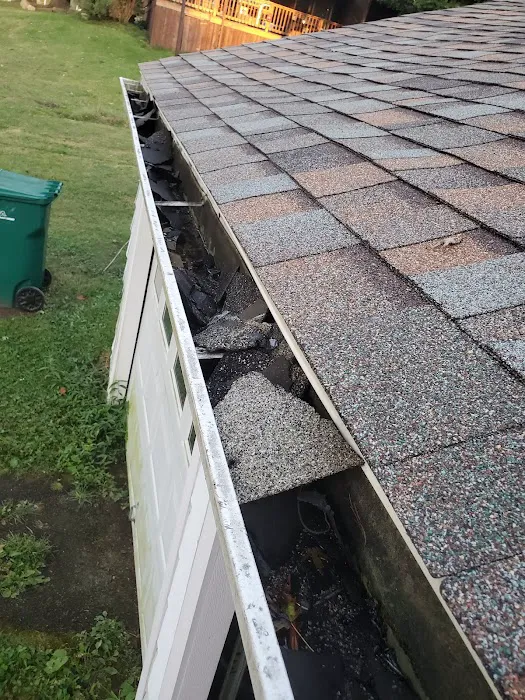 Sky Roofing Picture 5