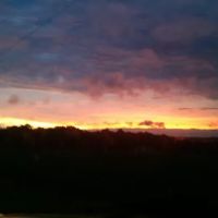 Peck's Service Co ico