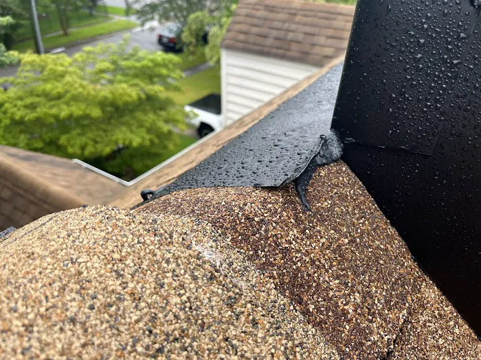 Andrews Roofing Co Inc Picture 1