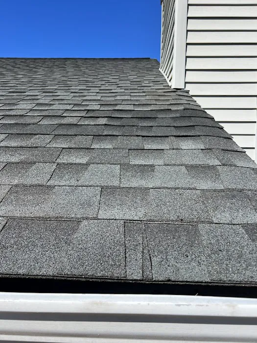 Major League Builders Picture 4