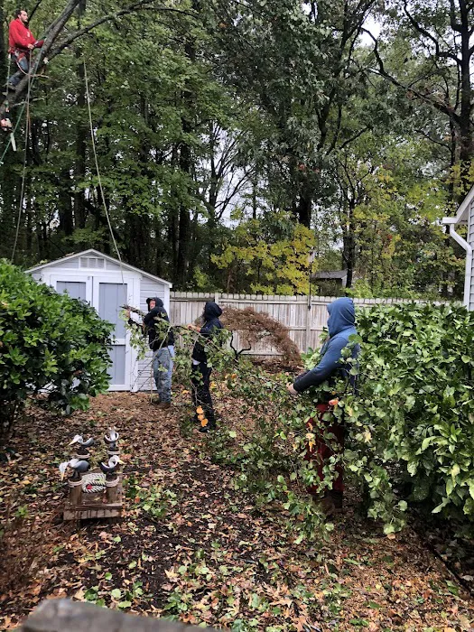 Hampton Roads Roofing Co Picture 7