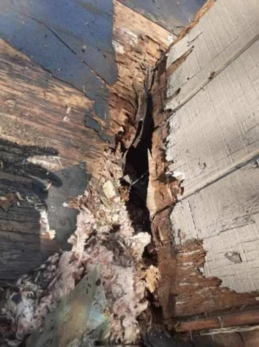 Reliance Roofing Company Picture 2