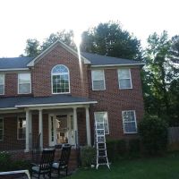 Freddy's Services ico