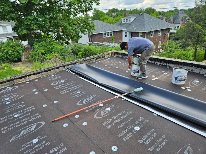 Monroy's Roofing & Exteriors Picture 8