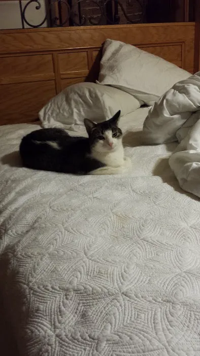 Jamestown Quality Roofing Picture 10