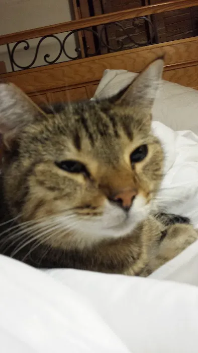 Jamestown Quality Roofing Picture 9