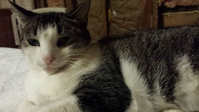 Jamestown Quality Roofing Picture 2