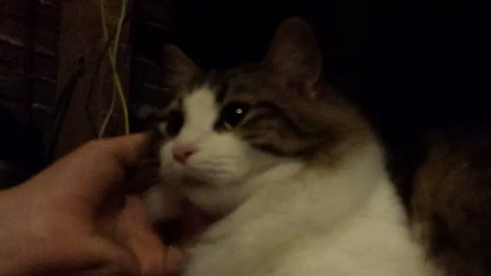 Jamestown Quality Roofing Picture 3