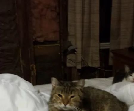 Jamestown Quality Roofing