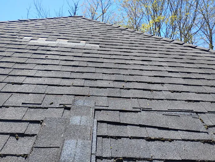 Cook & son's roofing and painting Picture 2