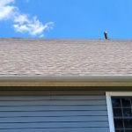 Astraeus Contracting