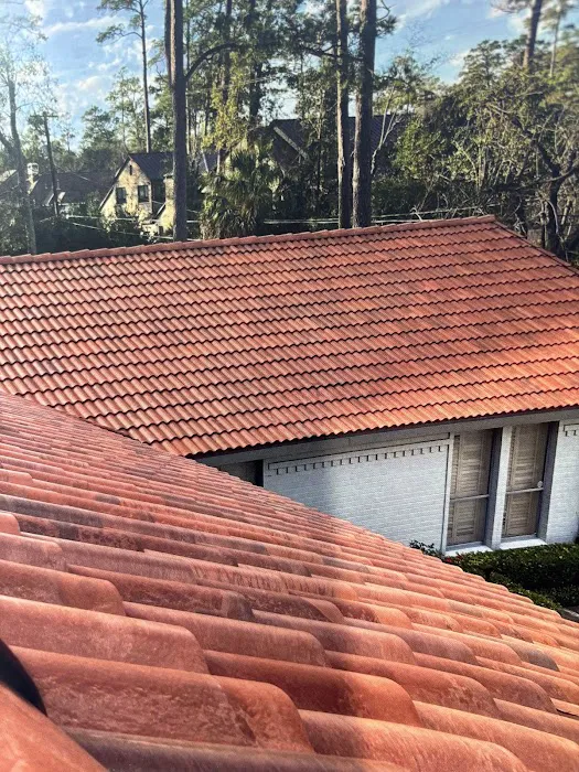 Bumble Bee Roofing LLC Picture 4