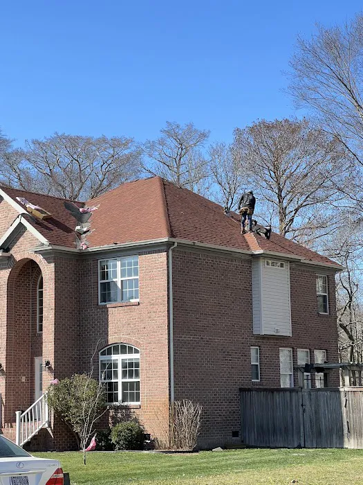 Best Choice Roofing Picture 3