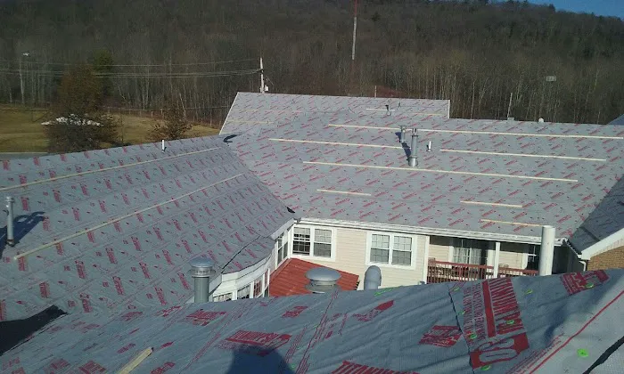 Brink Roofing Picture 9