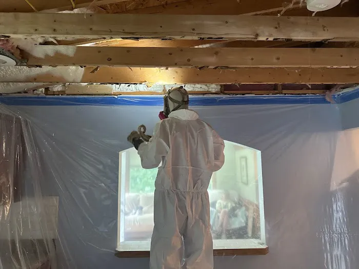 Bauer Specialty Picture 6