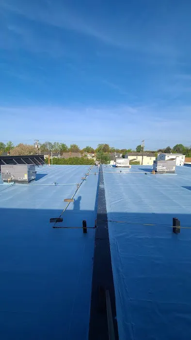 DM Roofing Solutions Picture 2
