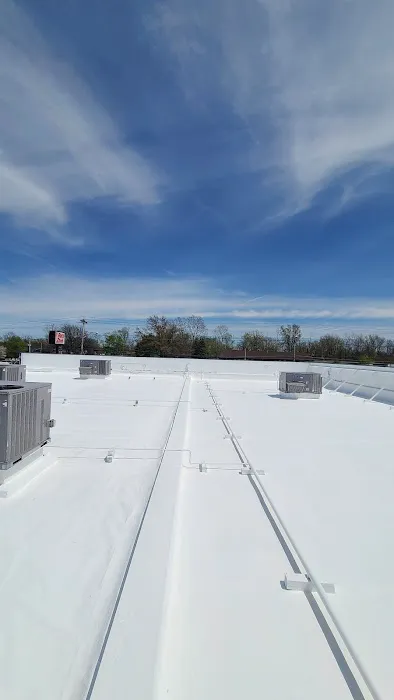 DM Roofing Solutions Picture 1
