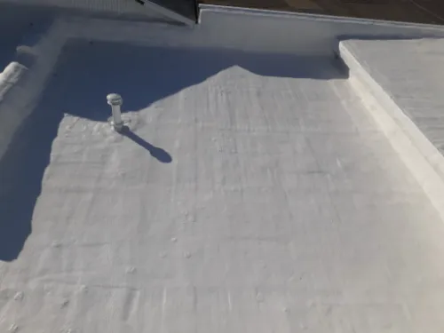 Pro Roof Solutions LLC Picture 1