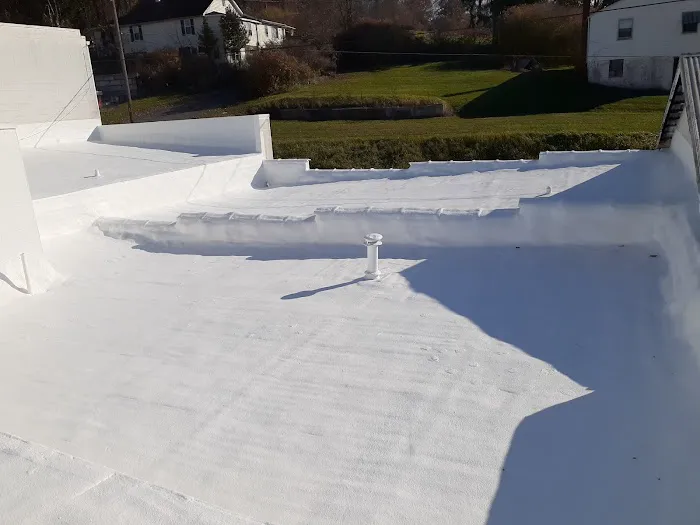 Pro Roof Solutions LLC Picture 2